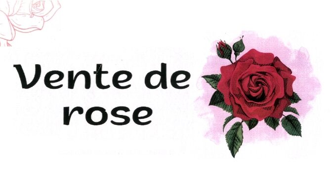 Vente de rose.jpg