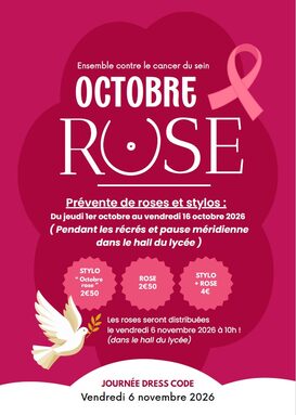 octobre rose 1.jpg