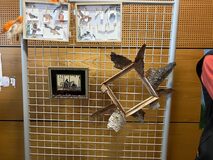 Galerie photo exposition